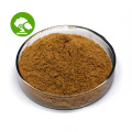 Supply Plant Extract Pure Lemon Balm leaf Extract